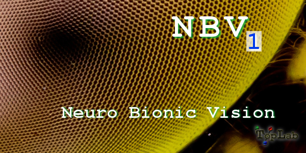 nbv_one